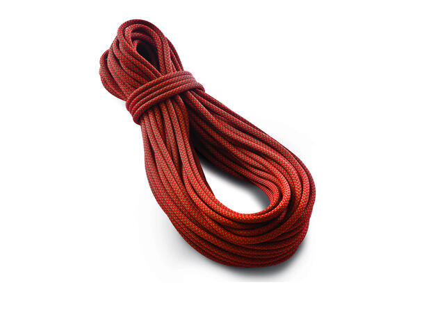 Tendon Ambition 10mm ST red 50m